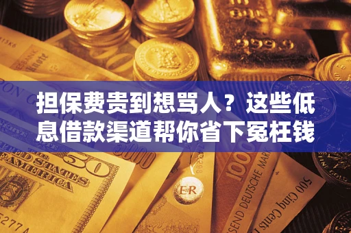 武汉担保费贵到想骂人？这些低息借款渠道帮你省下冤枉钱