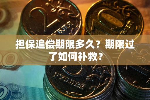 武汉担保追偿期限多久？期限过了如何补救？