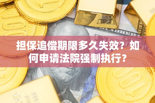 武汉担保追偿期限多久失效？如何申请法院强制执行？