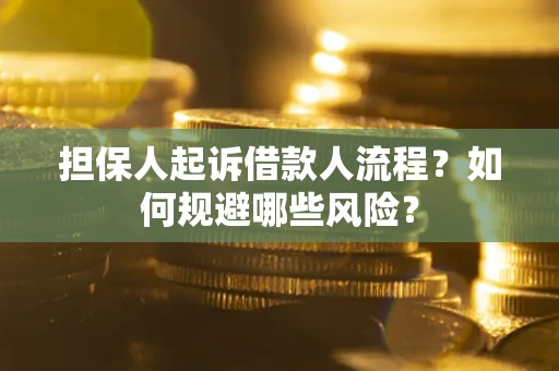 武汉担保人起诉借款人流程？如何规避哪些风险？