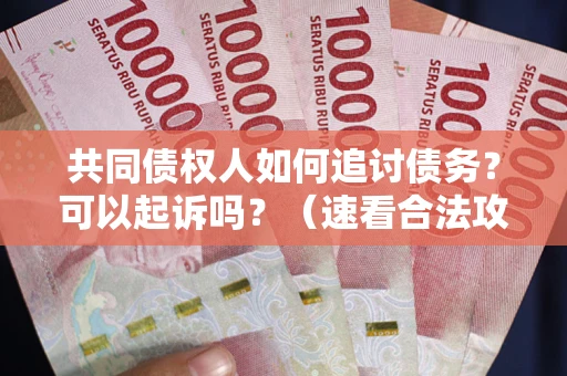 武汉共同债权人如何追讨债务？可以起诉吗？（速看合法攻略）